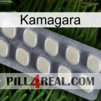 Kamagara 08